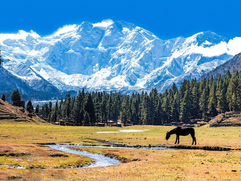 Nanga-Parbat